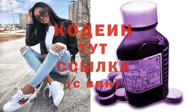не бодяженный Заводоуковск