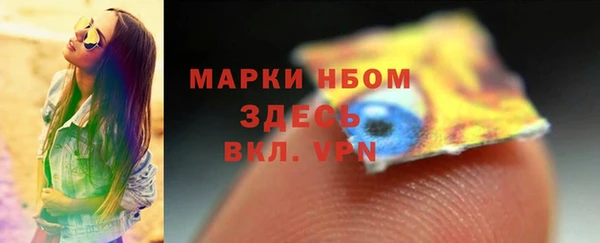 стаф Зеленокумск