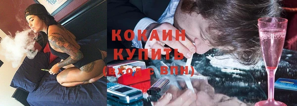 стаф Зеленокумск