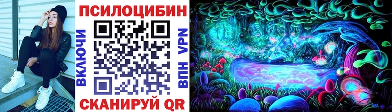 Купить закладки  Кудымкар  Галлюциногенные грибы Psilocybine cubensis 